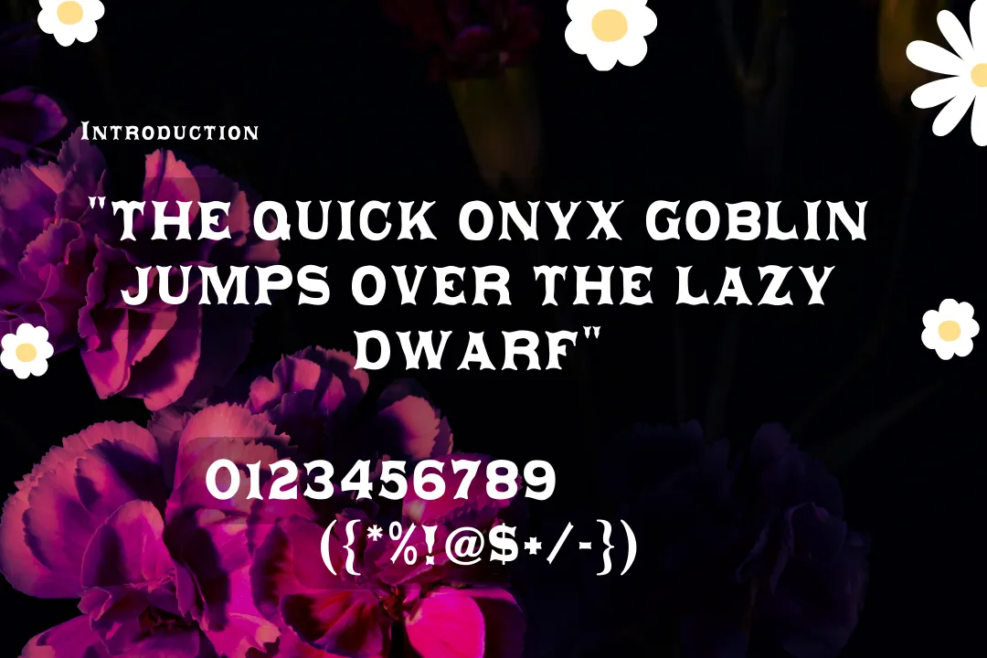 Daisy  Font