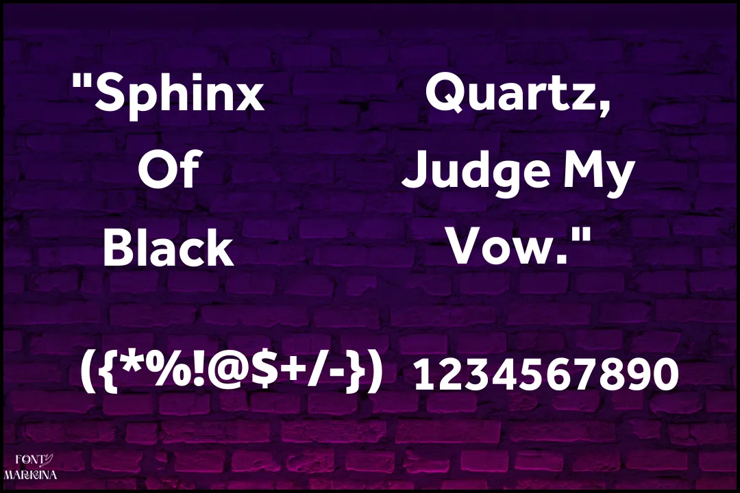 Effra Bold Font View