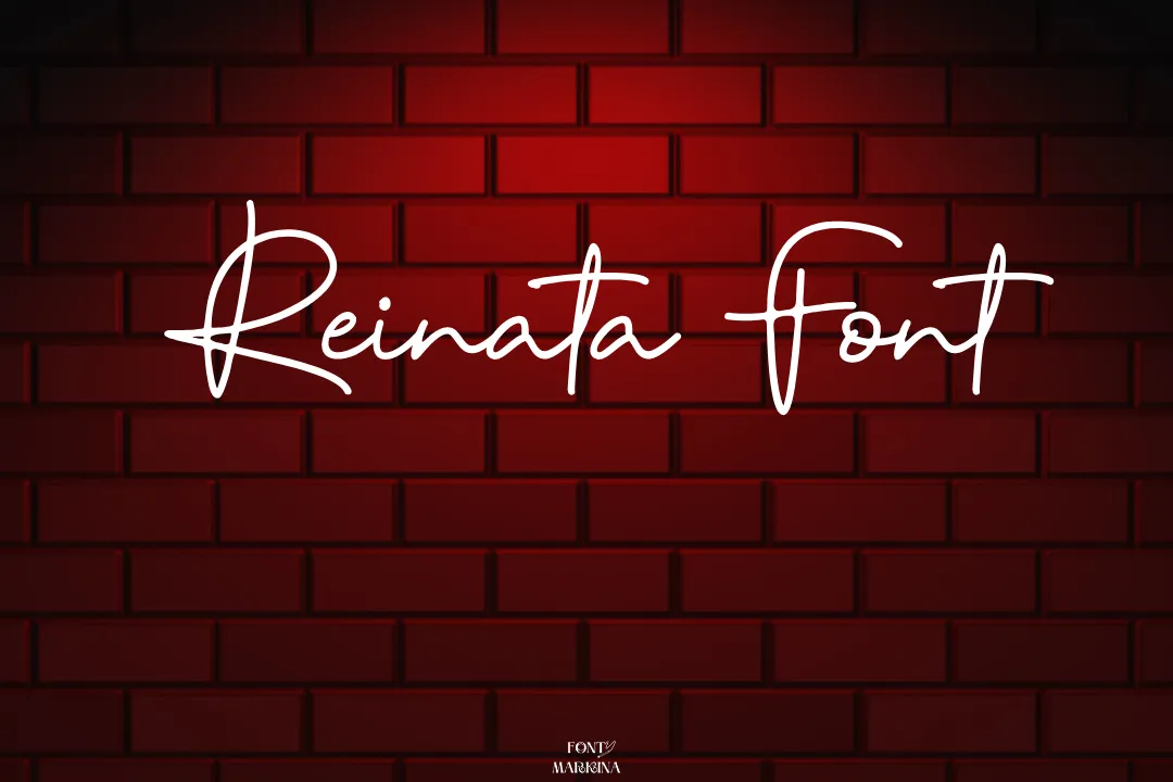 Reinata Font Feature