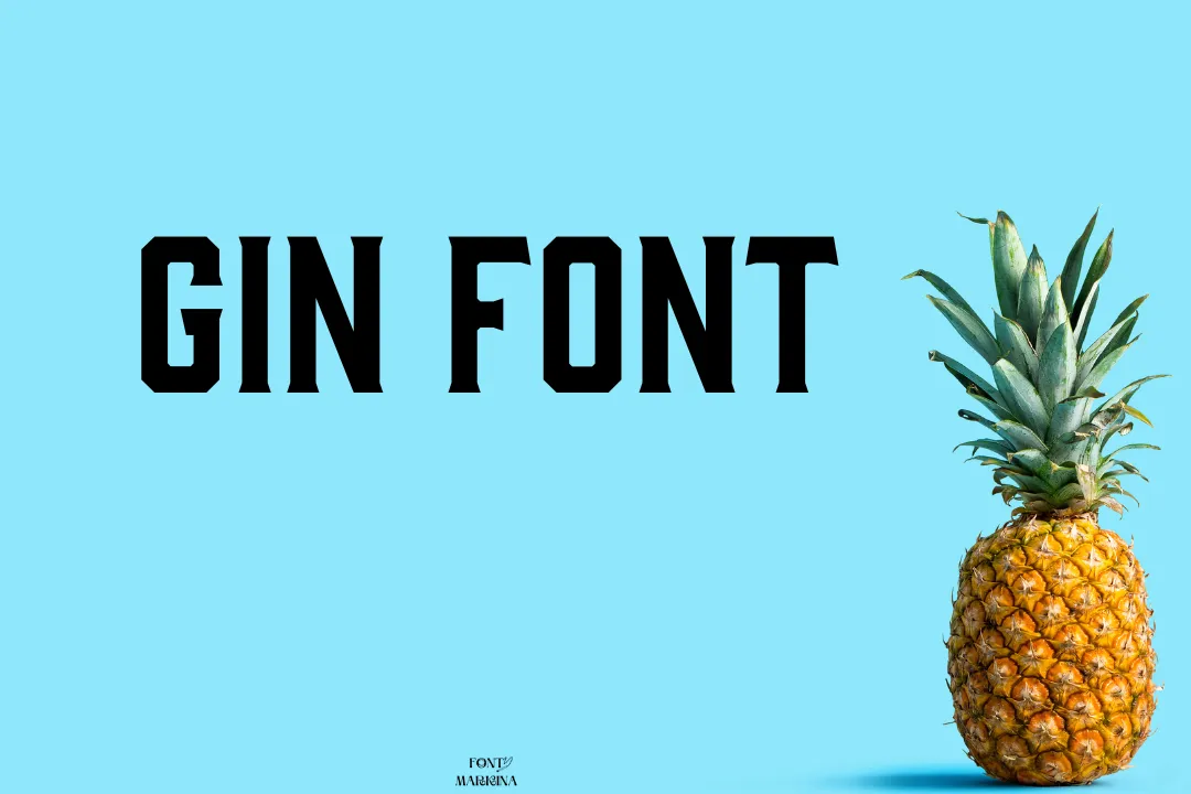 Gin Font