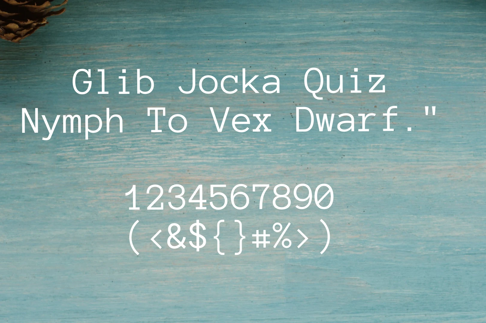 View Image of Anonymous Pro Font