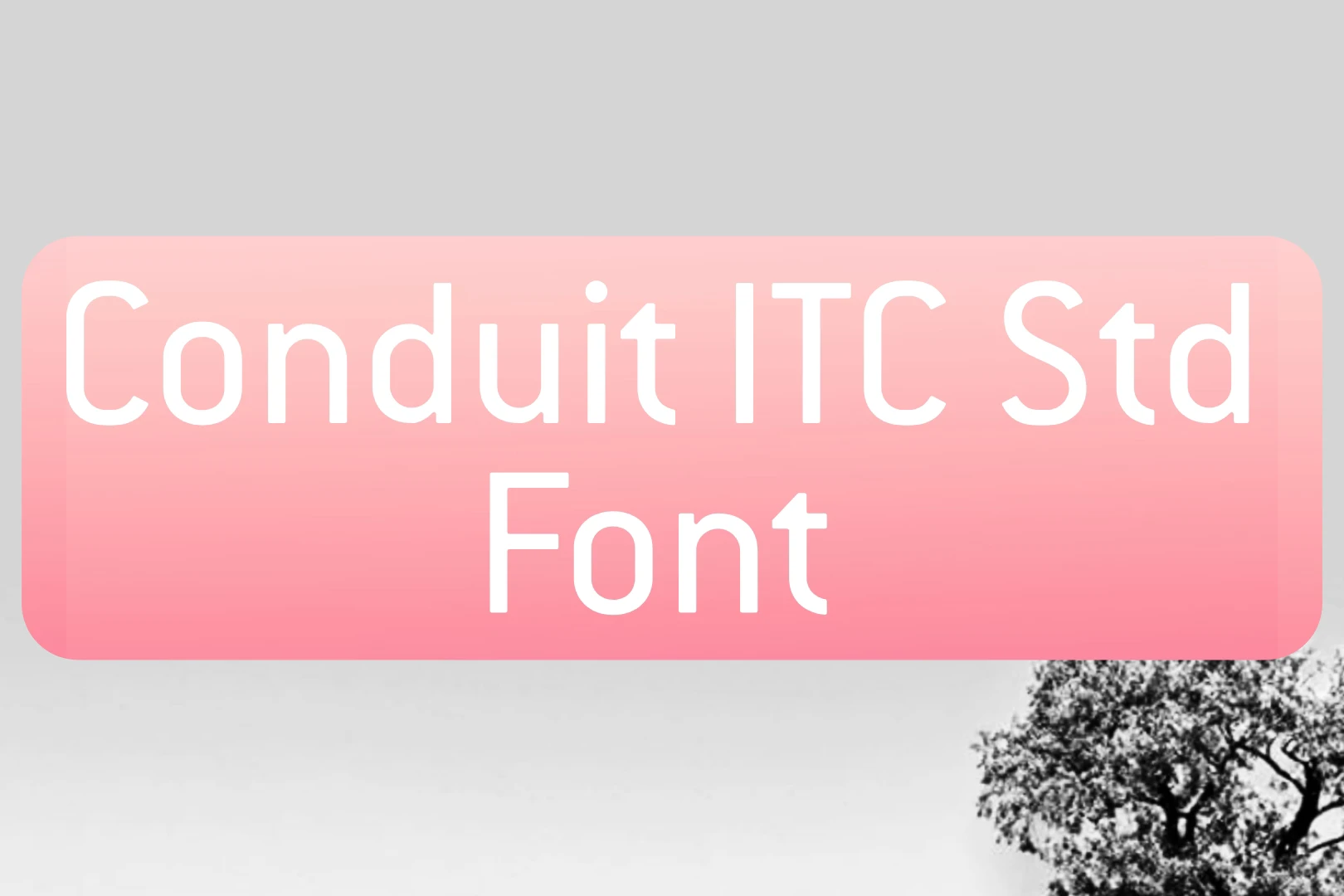 Conduit ITC STD Font